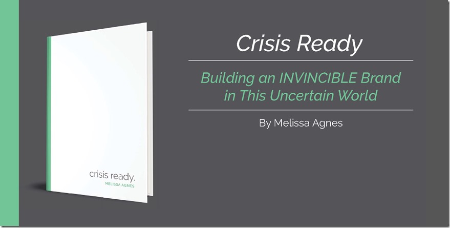 Melissa Agnes Invincible Banner Melissa Agnes Invincible Banner